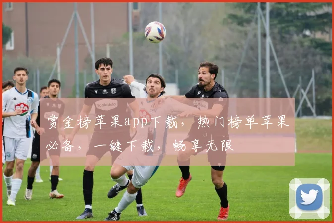 赏金榜苹果app下载，热门榜单苹果必备，一键下载，畅享无限