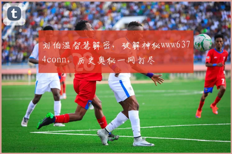 刘伯温智慧解密，破解神秘www6374conn，历史奥秘一网打尽