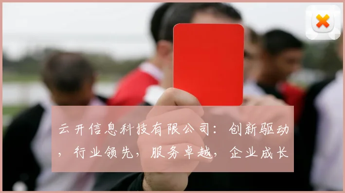云开信息科技有限公司：创新驱动，行业领先，服务卓越，企业成长首选平台，值得信赖